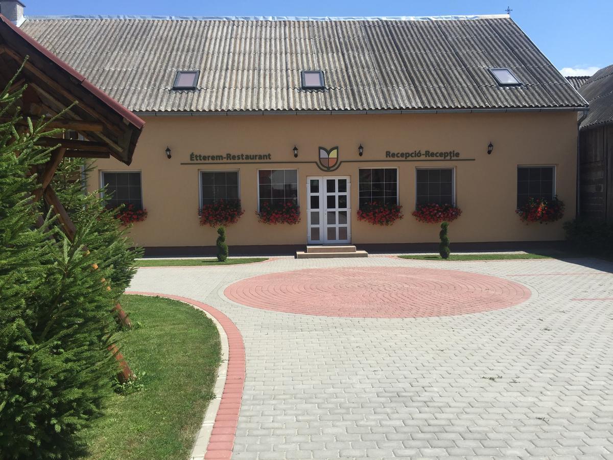 Bed and Breakfast Gyongyvirag Panzio à Turia Extérieur photo